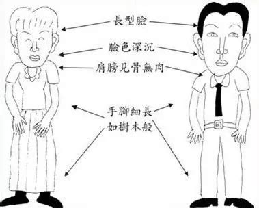 火型人帶木|體相識人——五行形相